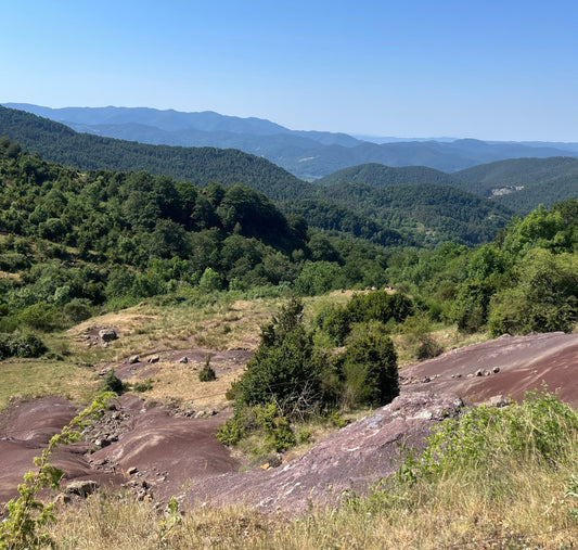 Senderismo con perros en Camprodon: las mejores rutas dog‑friendly del Ripollès